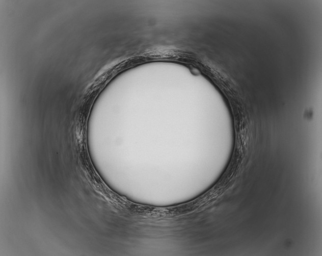 X0000115711206200912031520