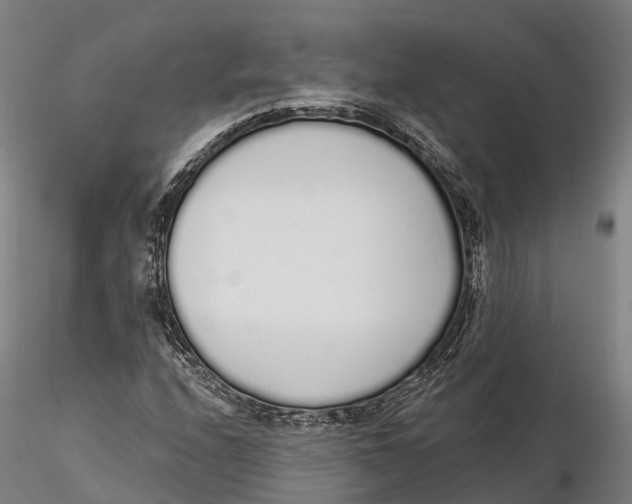 X0000115711208200912031520