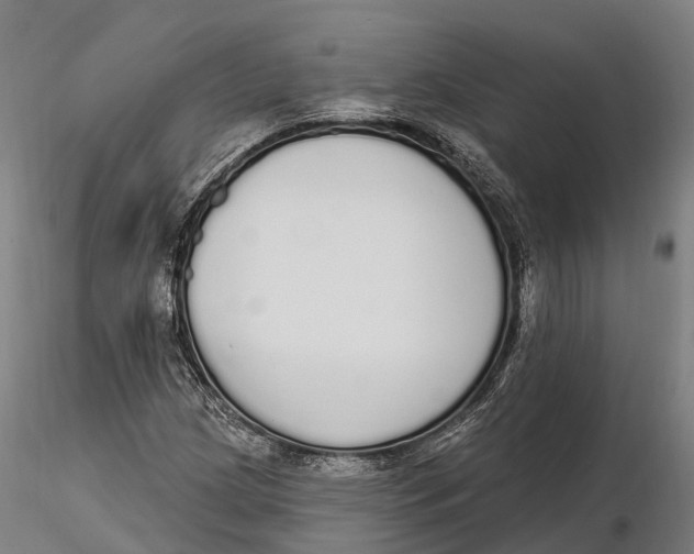 X0000115711209200912031520