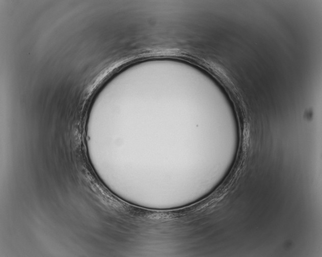 X0000115711212200912031520