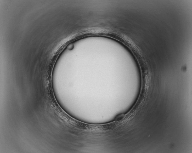 X0000115711213200912031520