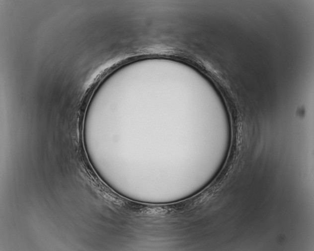 X0000115711214200912031520