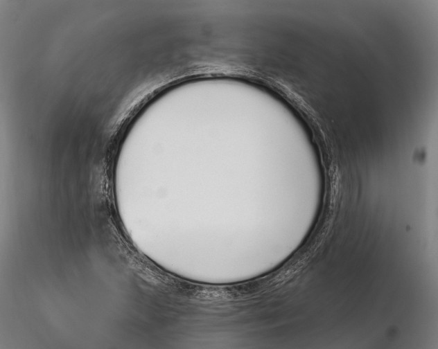 X0000115711215200912031520