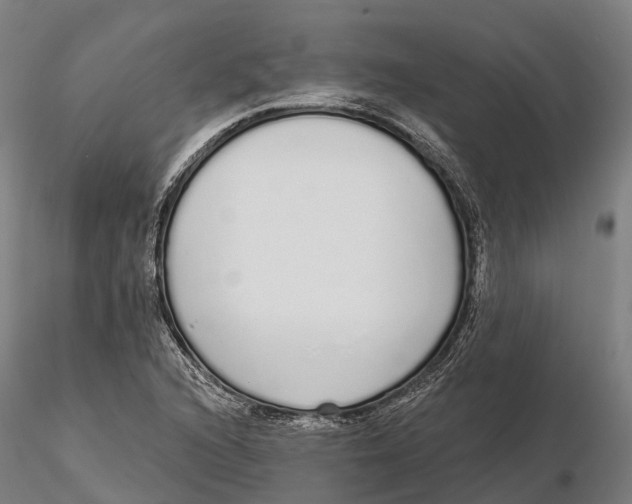 X0000115711216200912031520