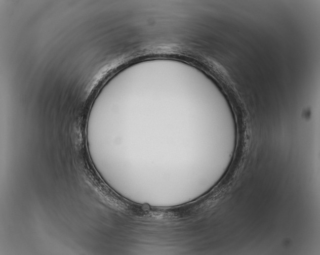 X0000115711218200912031520