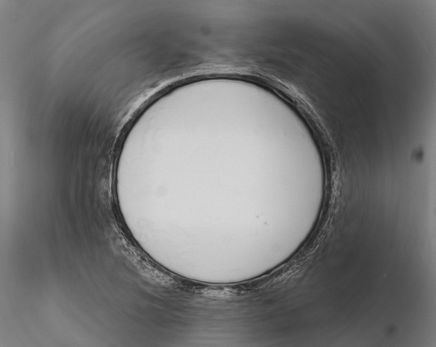 X0000115711220200912031521