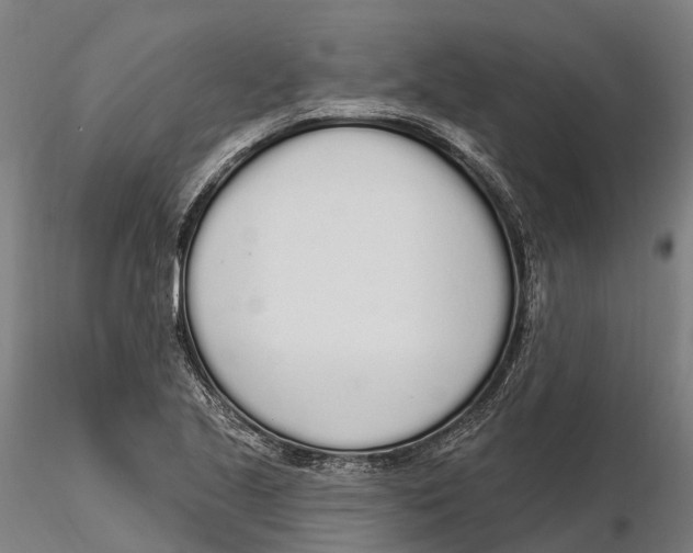 X0000115711221200912031521