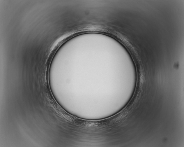 X0000115711222200912031521