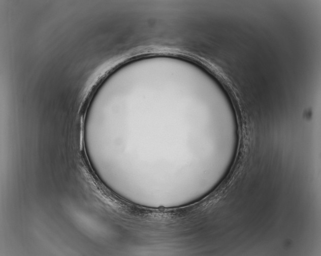 X0000115711223200912031521