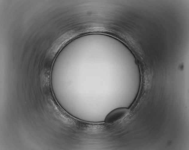 X0000115711225200912031521