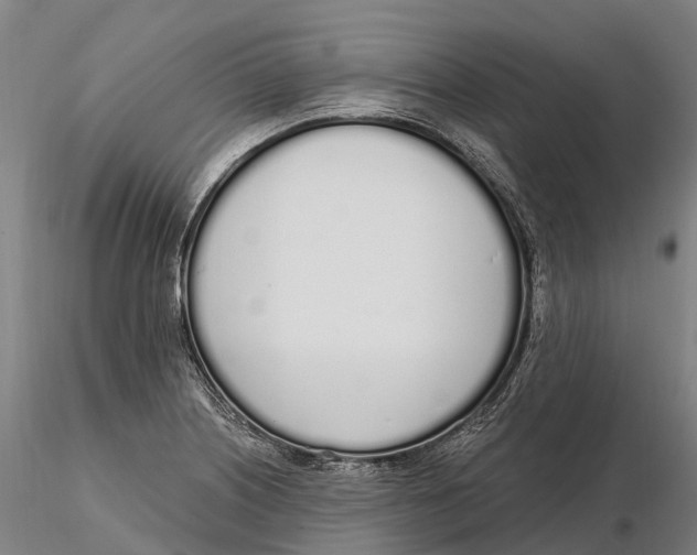 X0000115711226200912031521