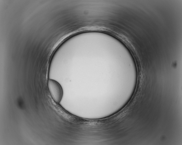 X0000115711228200912031521