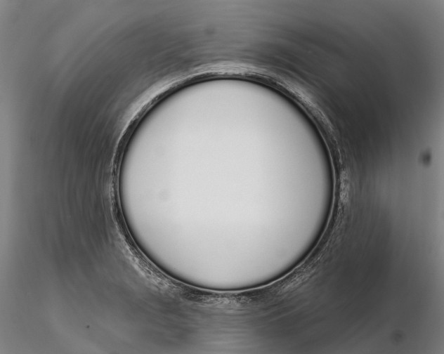 X0000115711229200912031521