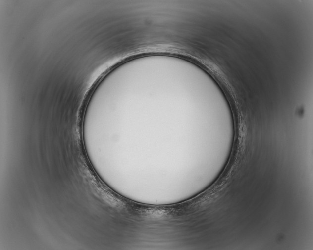 X0000115711230200912031521