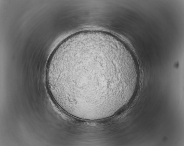 X0000115711231200912031521