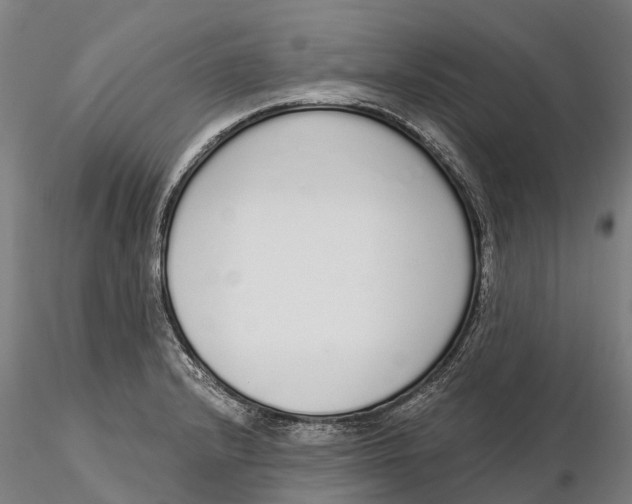 X0000115711232200912031521