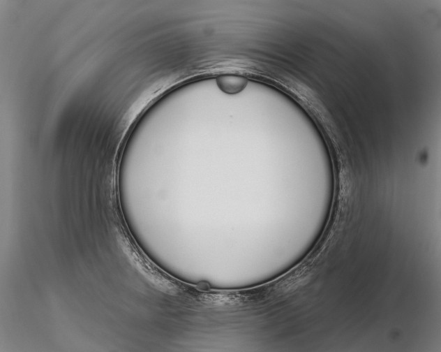 X0000115711234200912031521