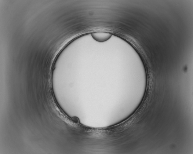 X0000115711236200912031521