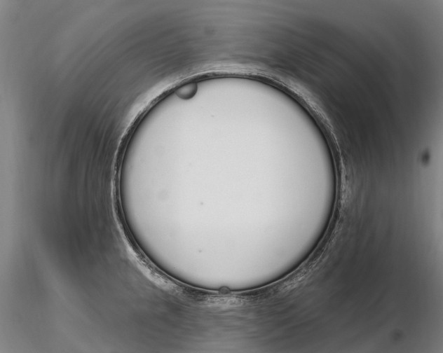 X0000115711237200912031521