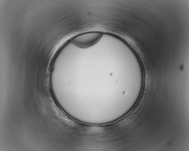 X0000115711238200912031521