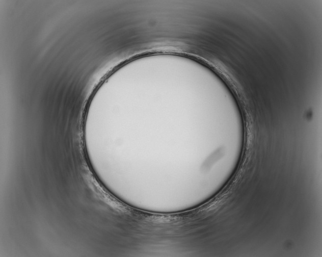 X0000115711240200912031521