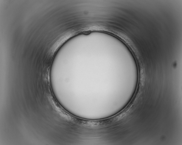 X0000115711241200912031521