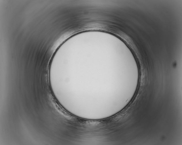 X0000115711242200912031521