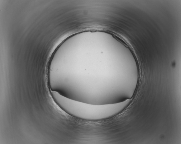 X0000115711243200912031521