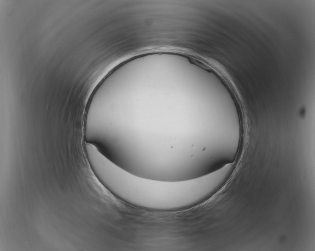 X0000115711244200912031521