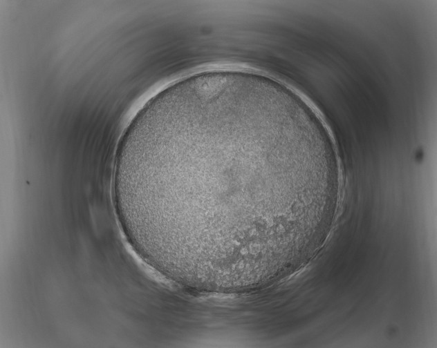 X0000115711245200912031521