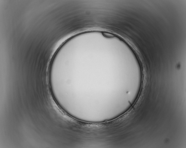 X0000115711246200912031521