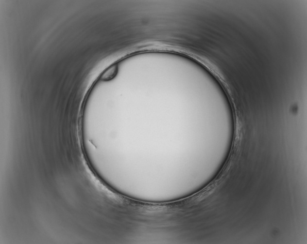 X0000115711247200912031521