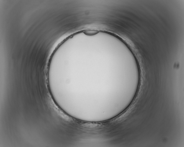 X0000115711248200912031521