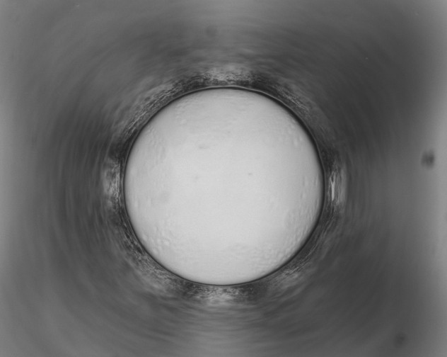 X0000115711251200912031520