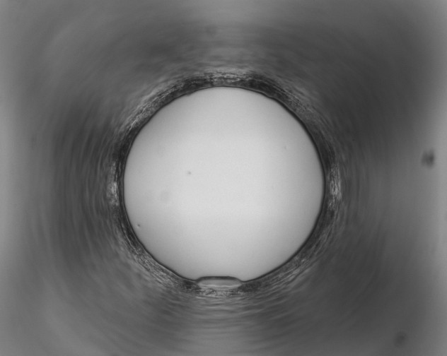 X0000115711252200912031520