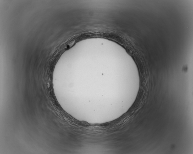 X0000115711253200912031520