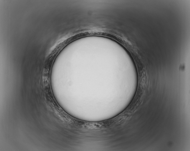 X0000115711255200912031520