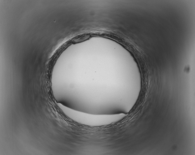 X0000115711256200912031520