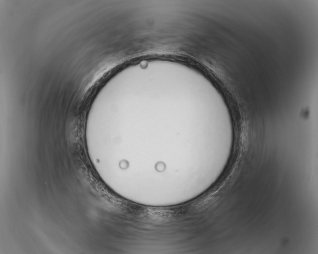 X0000115711258200912031520