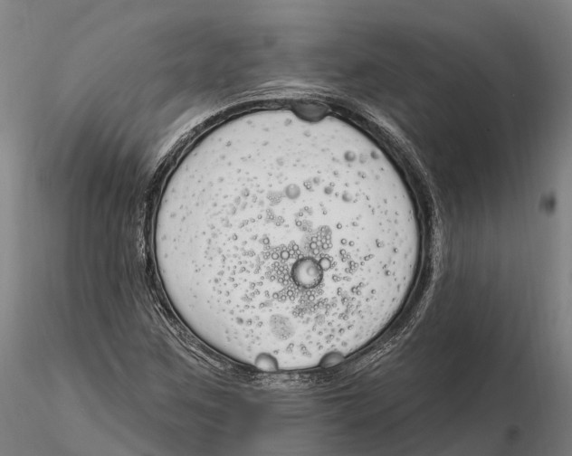 X0000115711259200912031520