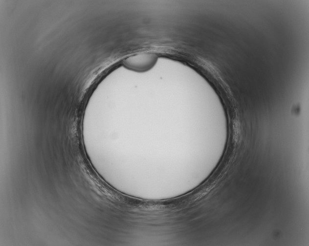 X0000115711260200912031520