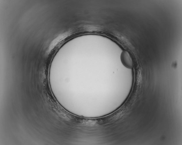 X0000115711261200912031520