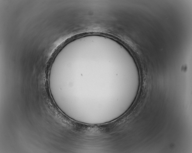 X0000115711264200912031520