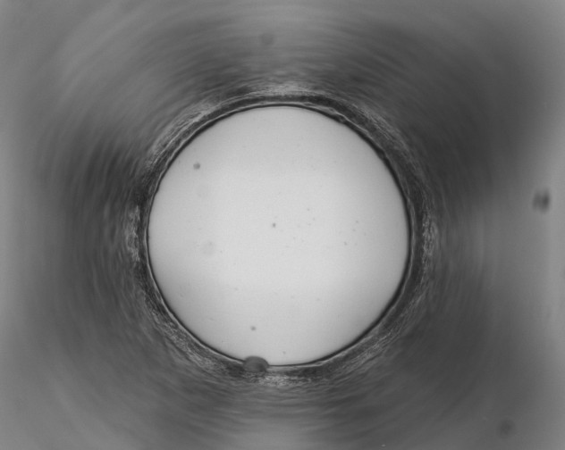 X0000115711265200912031520