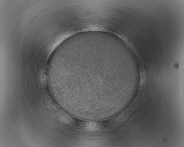 X0000115711266200912031520