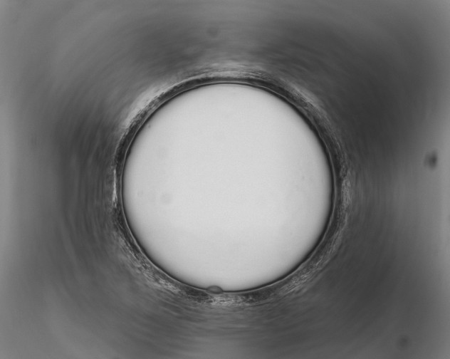 X0000115711267200912031520