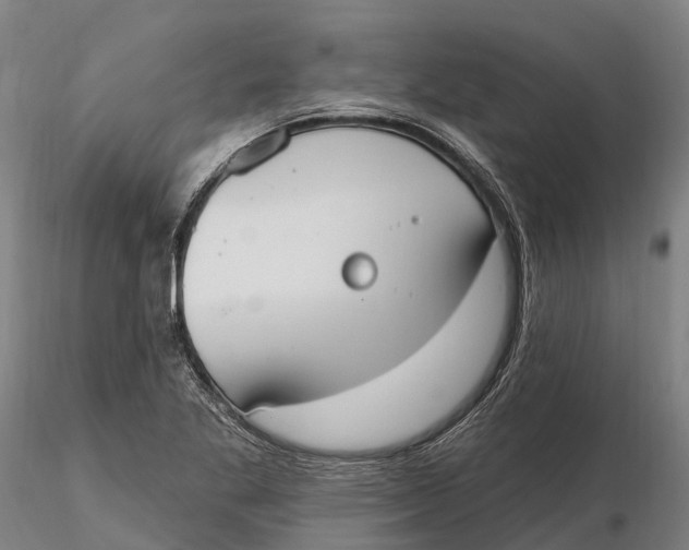 X0000115711269200912031520