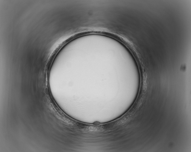 X0000115711271200912031520