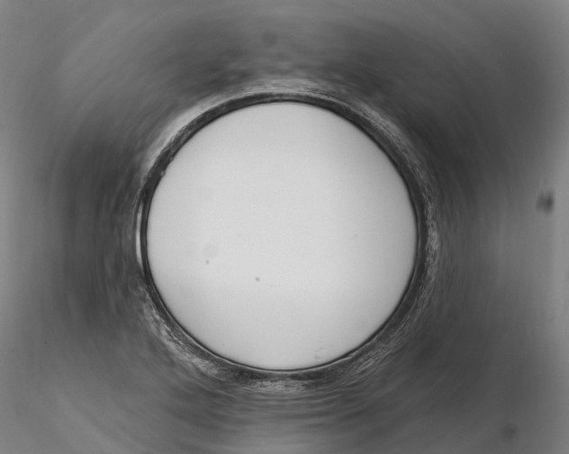 X0000115711272200912031520