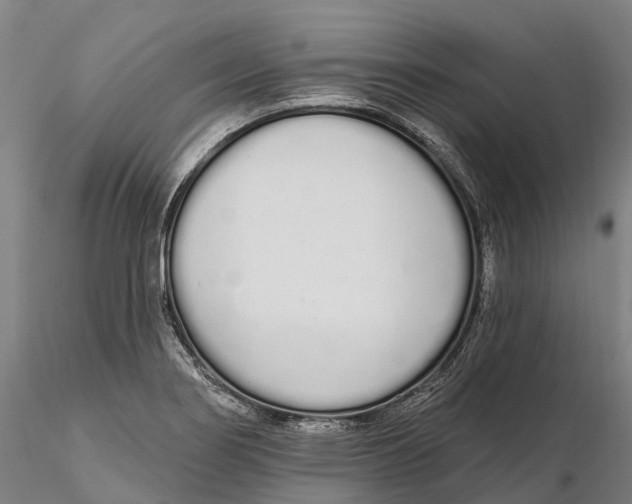 X0000115711274200912031520